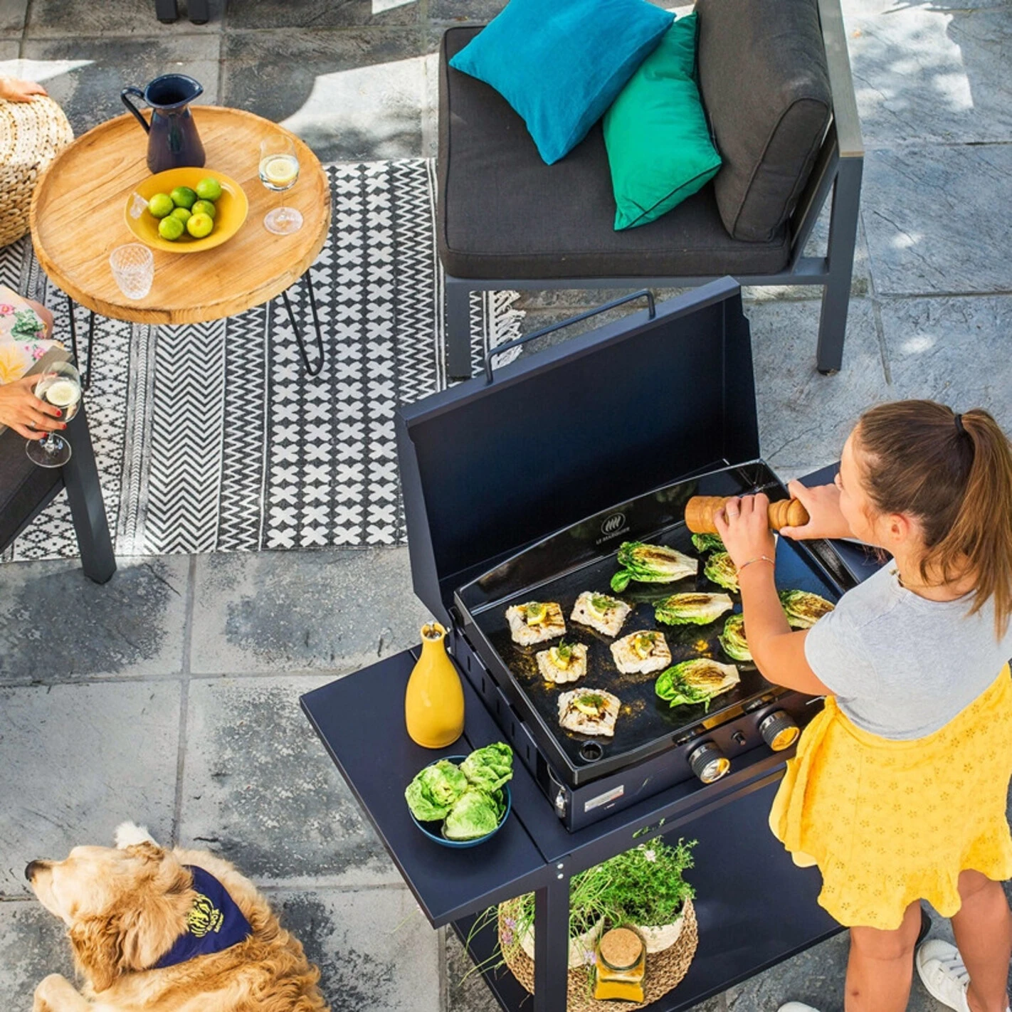 Combo Plancha Gaz Adela Bleu 260 Chariot + Capot - Le Marquier – Image 3