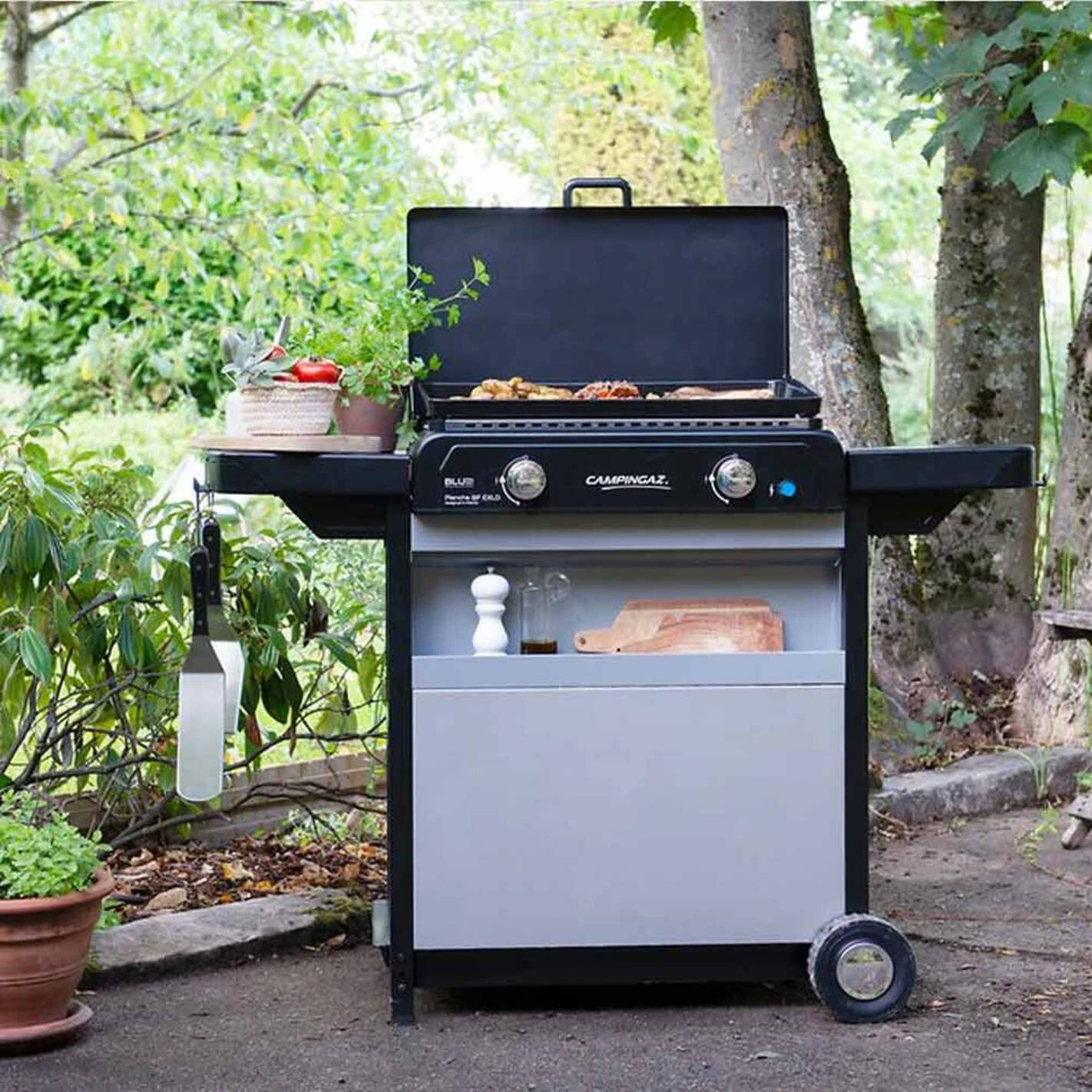 Plancha Gaz Sur Chariot Blue Flame EXLD - Campingaz – Image 3